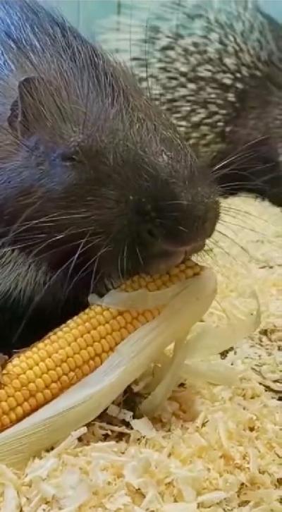 ���� ��� ����, ������ ���������� ������� �������� � ����������!