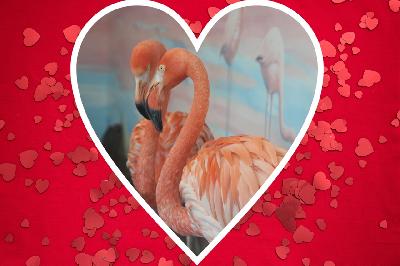 ��� ����� ���� ����������� ������������ ���? ������ ����� ���� ���������� �������� ��������!