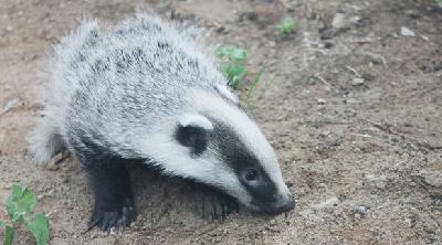 ��� ���� ������ ���������� �� ��������, � �������������? 