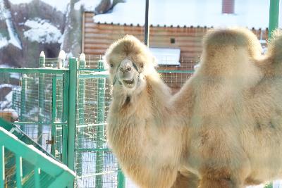 ������� ������� ������� ��� ������ ��������� �� ������� ������