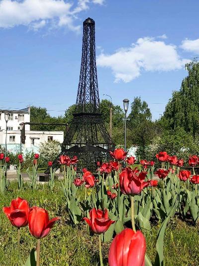 ������� � ���� � ��������� ������? ����� ���������!