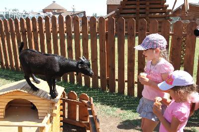 �������� �� �������, � ��� ������?🍁