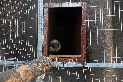 ������� - �������� ������������ �����! ✨🌷