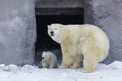 ��������� ��������� - �����, ���� � �����!