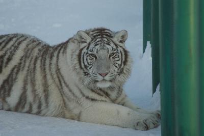 ������� ����� ������ ����������, ��� ��� �������, � ������� ��������� ����� �������� �� �������?