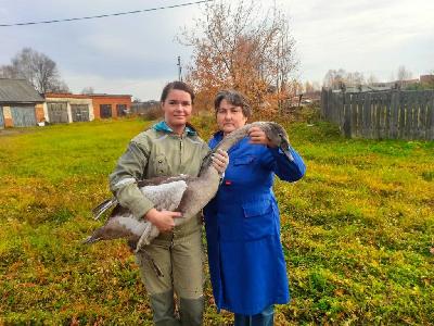 �������� ������