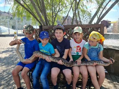 ���������� � ��� ������� � ��������� ��������