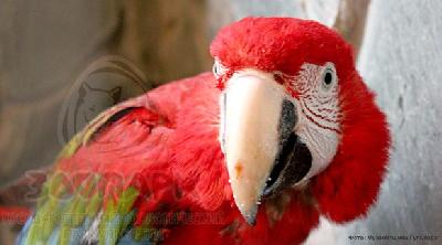 ������ ��������� "������� � �����������"! ️