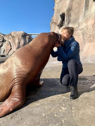 �������� ������ "�������. ������� ����"