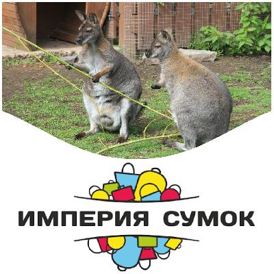 ������� ����� ����� �������!🦘