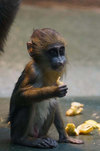 ���� ��� ������� ��������, ������� �������� ���������� ������������� ��������� ��������! 