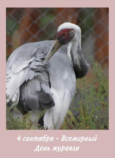 ������� - ����� ����!🌎