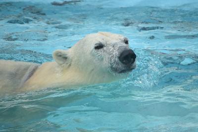 ��� �� ������ �������? 