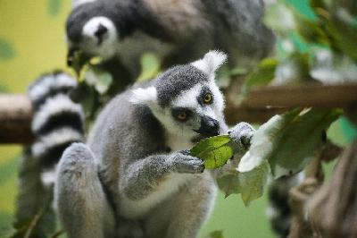 �� ������� � ���� ������!