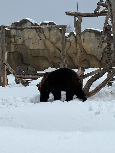 � ������� �������� ������ �����!🌷