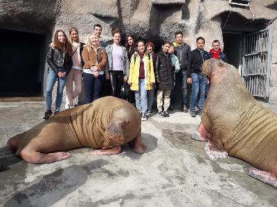 ������� �������� ��������� ������!