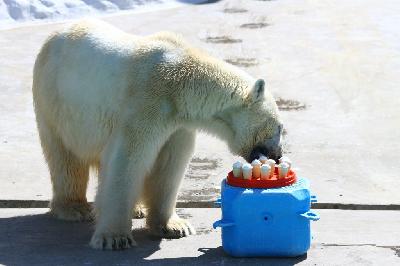 ���� ����������!