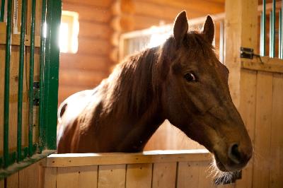 ���������� ����� �������