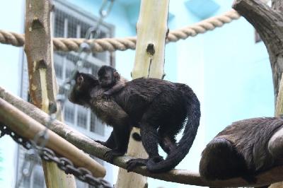 ����� �� ��������� ��������!!!