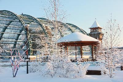 ������� ���������� ���� � ������ �������! ����� ��� ������� ����������� � ���������� � �������� ����, ���� �� ������ ���� �������� 81 ����! 