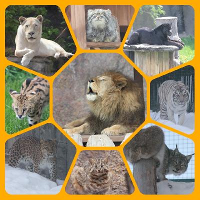 ��� � ������ ������ ������ �����, � �� ������ �������� �� ���� ����� !