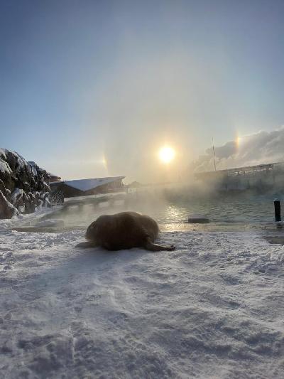 ��������� ��������� ������� � �������� ��������⭐