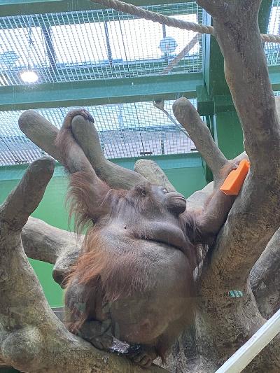 �� ����� ��� � ���, � � ��� ������ - ����� �����������! ����� ������ ������, � ����� ��� �� ������������...