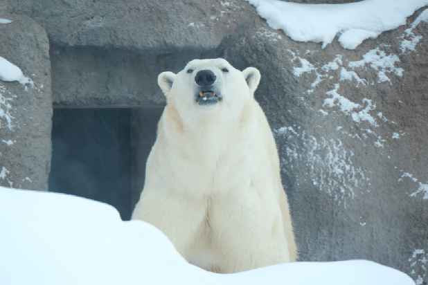 ������������� ���� ��������� �������!