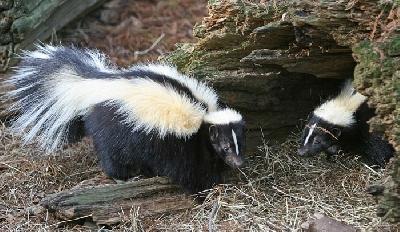 ��� ����� �� ������ � ������? 