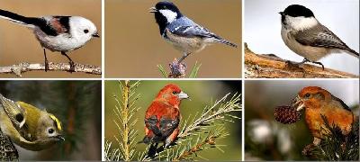 ����� - ����� ������ ����!