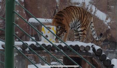 ����� � �� �� �����! 