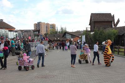 ��������� �������� �������� ������������ �������