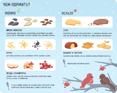 ������ � �������� ����� ��������