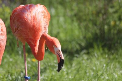 �������� - ���� ������