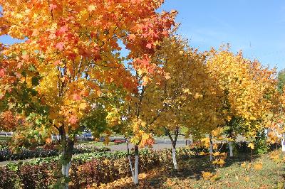 � ����������� �������� �������. �� ����� ���������� ������ ����� �������!