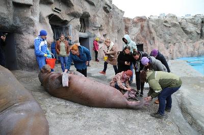 ����� ����������� 2021