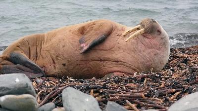 ������ ����! � ����� ���� �� ������ �����?☀