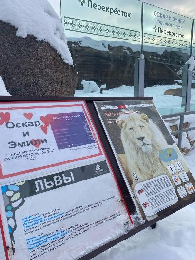 ��� ��� ������, ����������� ����!👑