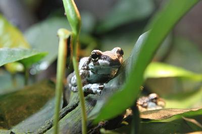 ������������ �����������