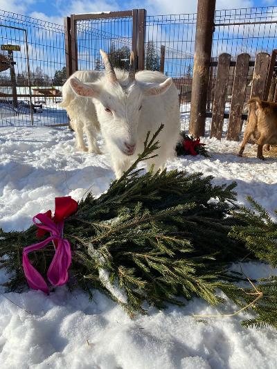 ���������� �������� �������� ���������� ������� �������� ��������� �����!