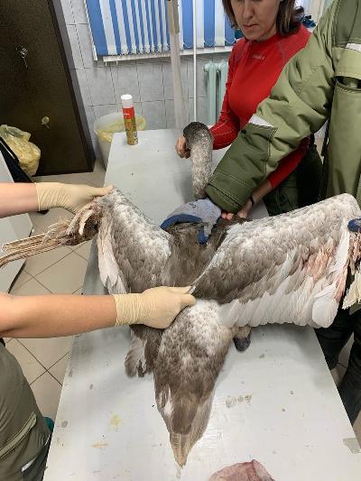 ��������� ��������