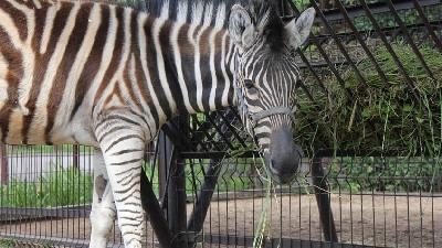 ���� ����� � ��������!