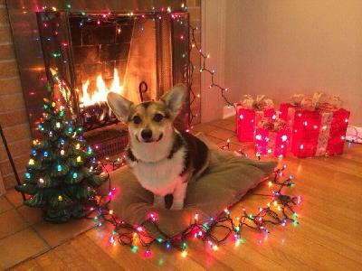 ���������� �������� � ���������� ���������� ��� �������� ��������.