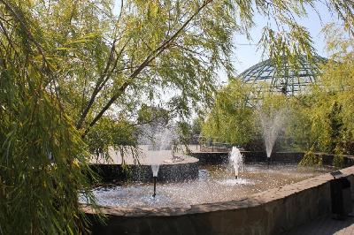 �� ����� ����