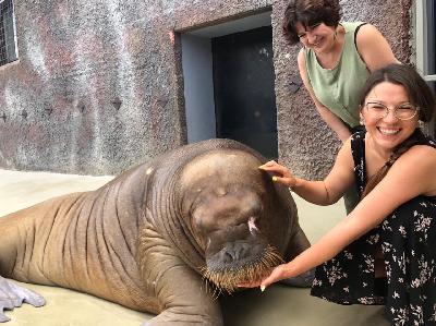 ������ �� ������ ������ ��������� ���� � ����?