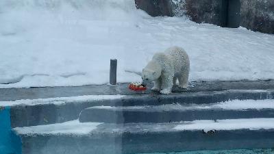 ���-�� �� ����� �����, ��� ��� ������ ���������� ����� �������!🌍