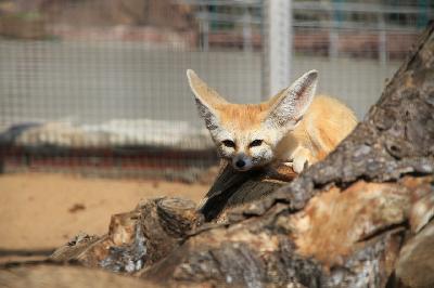 � �� �����, ��� �����, �������� �� �������������� � ��������� ������, ����� ��������� �� ������������? 