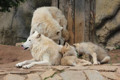 ���� ����� � ��������!