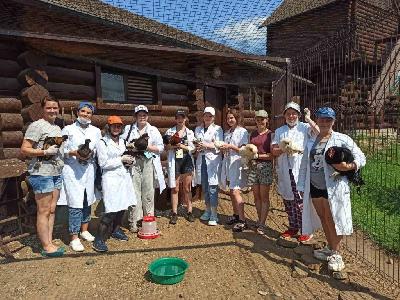 ������ ������������ �����