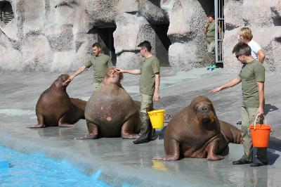 ��� ������������!